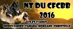 NT du CFCBB 2017