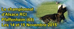 Le championnat d'Alsace RCI 2015