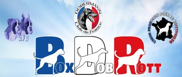 La page facebook du BoxDobRott