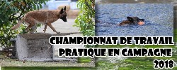 Championnat Campagne 2018