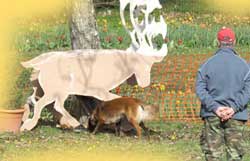 Baia des Loups Mutins 