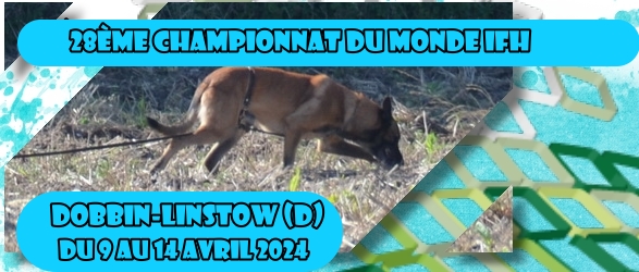 Championnat du Monde IFH 2024