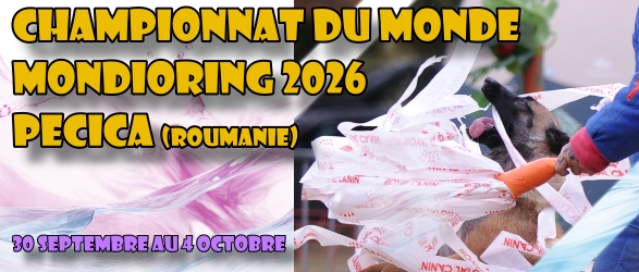 Le championnat du Monde Mondioring 2026 PECICA (Roumanie)