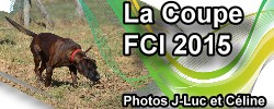 La coupe de France FCI 2015