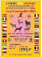 Cliquez pour visualiser l'affiche