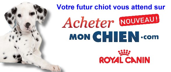 Acheter un chiot.com