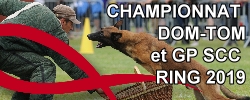 Championnat Dom-Tom et GP SCC Ring 2019