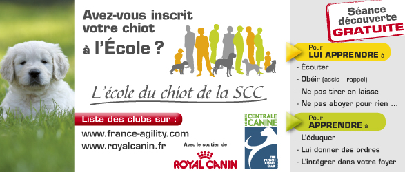 ecole du chiot RC