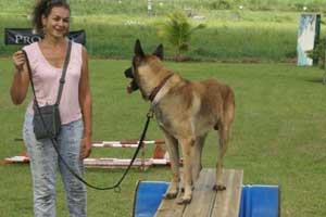 Régine et son malinois Ango le malinois immobilisé sur  la passerelle fixe