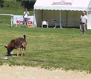 LOBO du Domaine de Titise