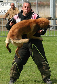 BOURGADE Rémi 