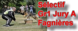 Sélectif Ring 2011 Fagnières Jury A gr1
