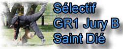 Diaporama Sélectif Ring GR1 Jury B St Dié