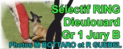Sélectif RING Dieulouard