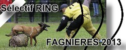 Sélectif Ring 2013 FAGNIERES