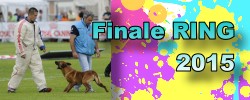 Images de la Finale 2015