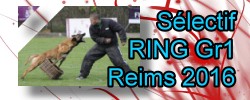 sélectif Ring Gr1 Reims 2016