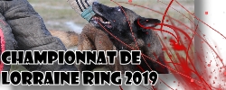 Le Championnat de Lorraine RING 2019
