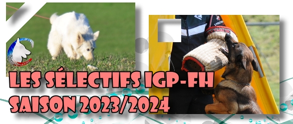 Les slectifs IGP-FH 2023-2024