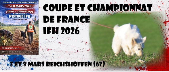 La coupe de France IFH Reichshoffen 2026