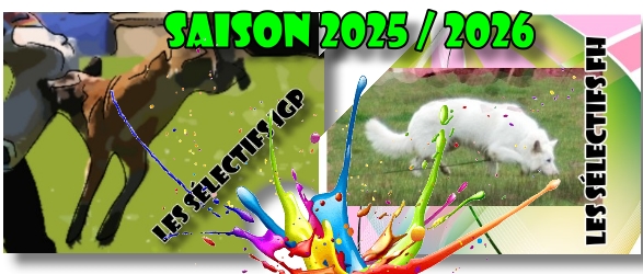 Les slectifs IGP-FH 2025-2026