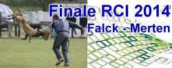 Finale RCI Falck 2014